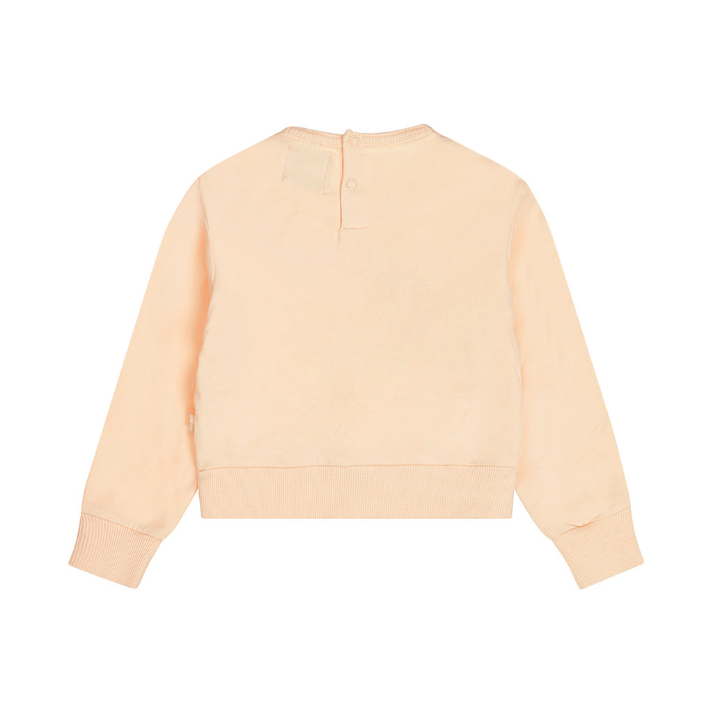 Dirkje Sweater Peach