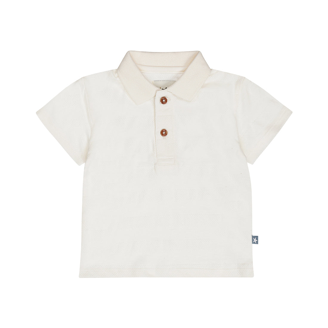 Dirkje Polo