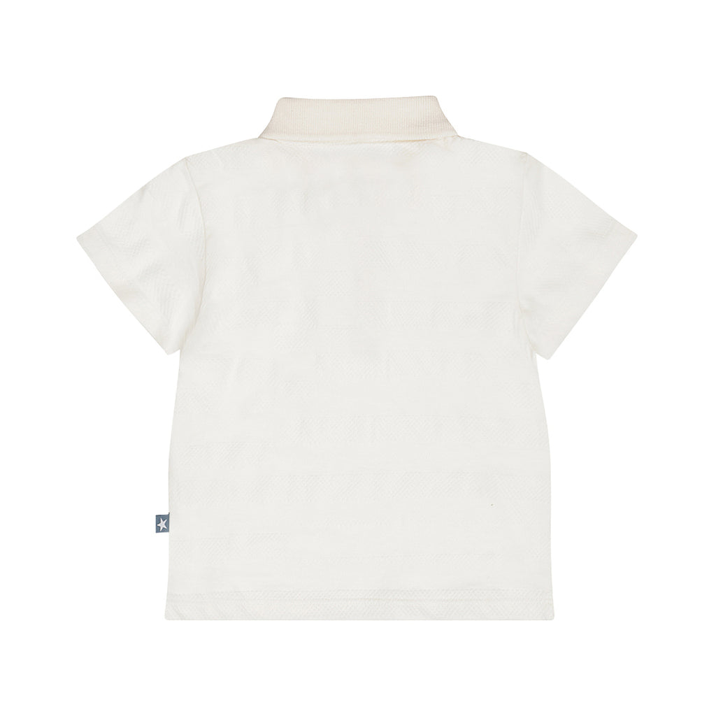 Dirkje Polo