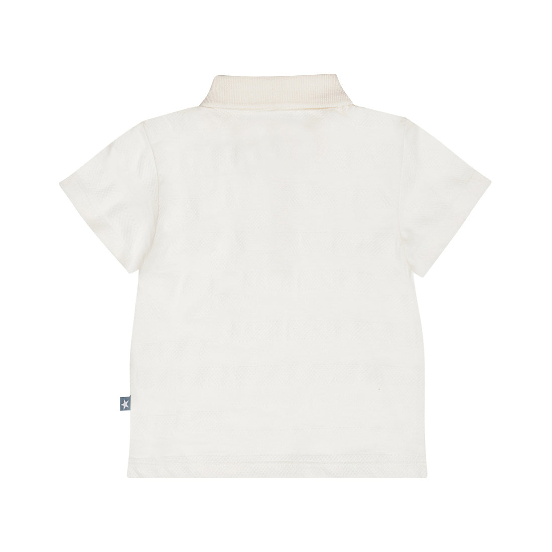Dirkje Polo