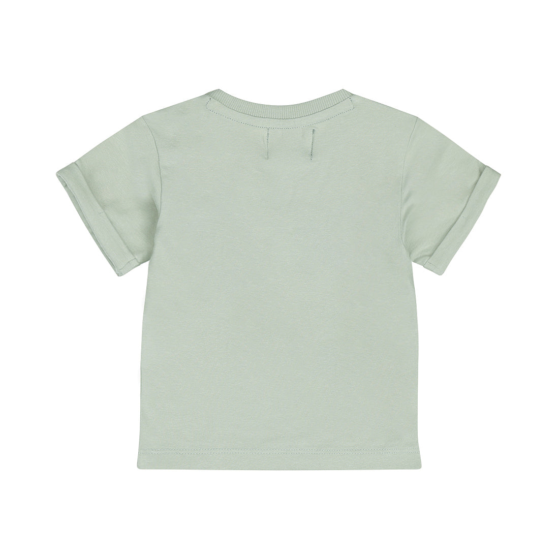Dirkje T-Shirt Sage